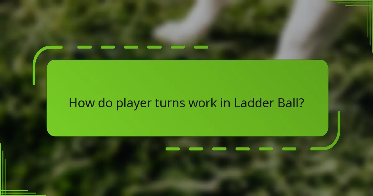 How do player turns work in Ladder Ball?