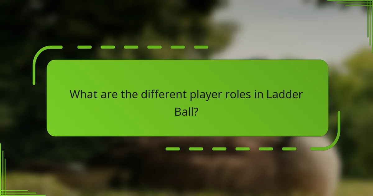 What are the different player roles in Ladder Ball?